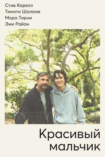 Красивый мальчик с участием Эми Райан