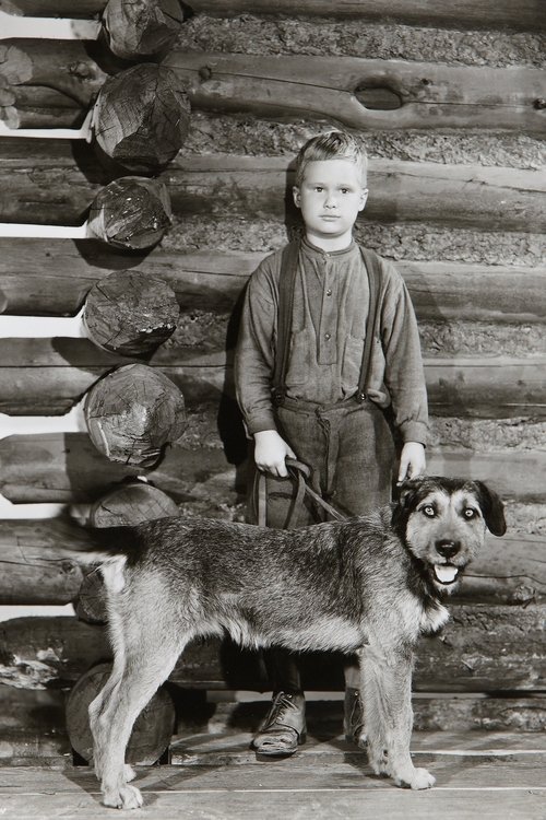 Шейн с участием George Stevens