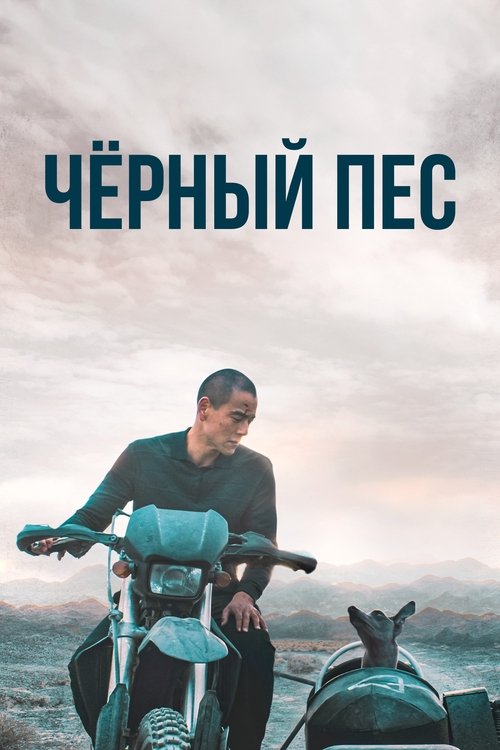 Чёрный пёс смотреть онлайн