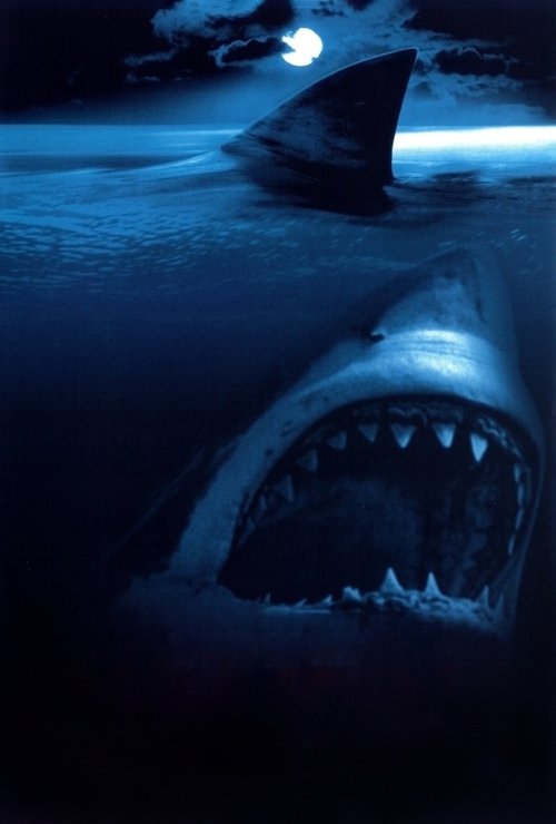 Акулы с участием Эрни Хадсон