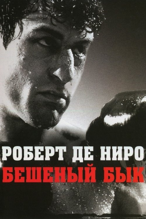 Бешеный бык с участием Джо Пеши